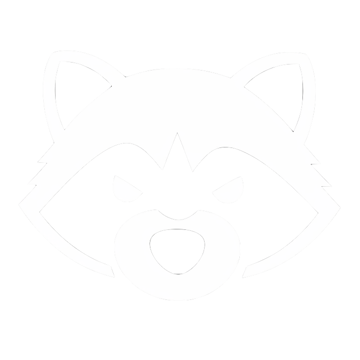 Bandit the Raccoon